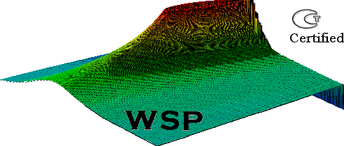 WSP Logo